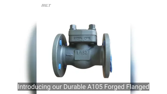 Durable A105 Forged Flanged Check Valve DN25 for Industrial Use